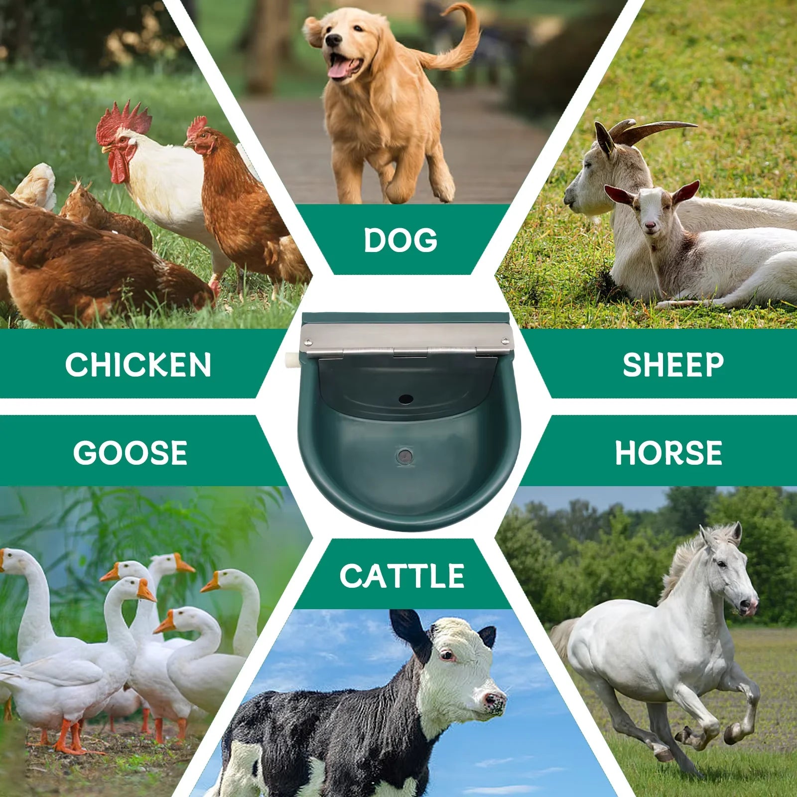Plastic Automatic Water Bowl Farm Animals Water Feeder Cow Drinking Tool for Sheep Goats Feeding Water Bowl Livestock Supplies