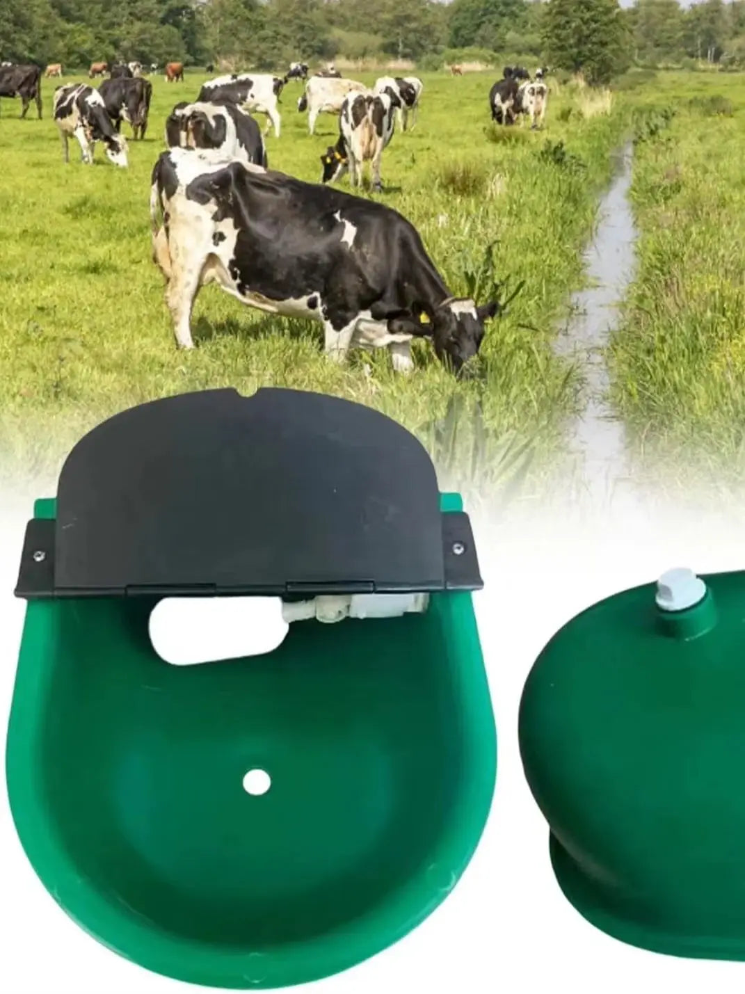 Plastic Automatic Water Bowl Farm Animals Water Feeder Cow Drinking Tool for Sheep Goats Feeding Water Bowl Livestock Supplies